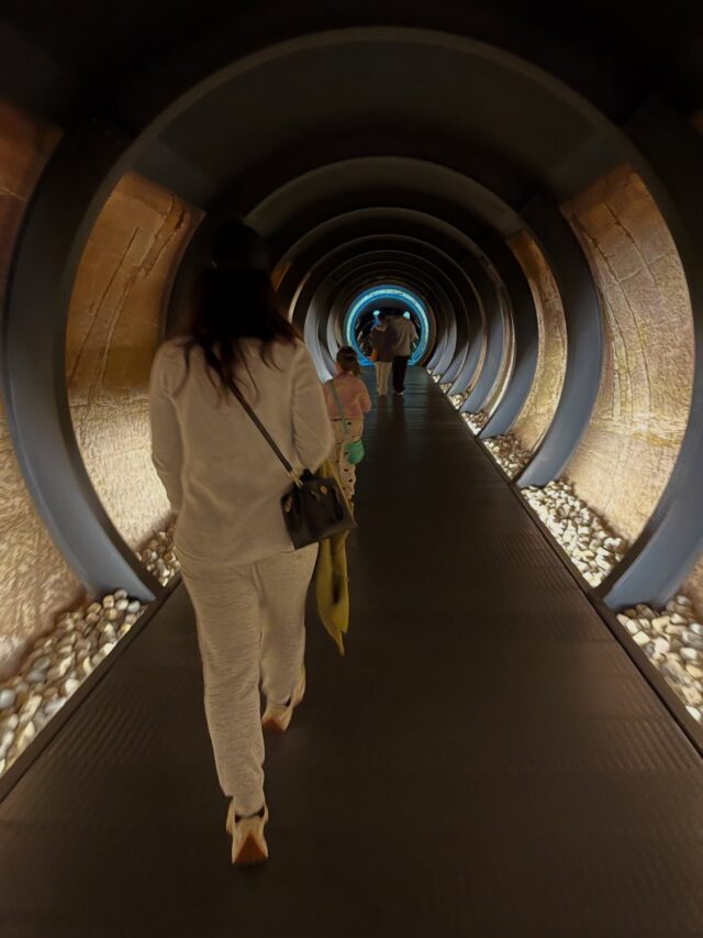 Best memories of Tasmania with my loved ones. ✔️✔️✔️

#holidays #tasmania