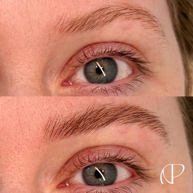 Definition can also be a Natural Enhancement.
Beautiful Amy 🤎
.
.
.
Appointments & Courses: Link Online Bio.
0414 496 867 | 4 Young Street, Neutral Bay. 
Inside @sanctuaryskincare 

#studioapco #naturalbeauty #naturalenhancements #nanobrows #lashliftandtint